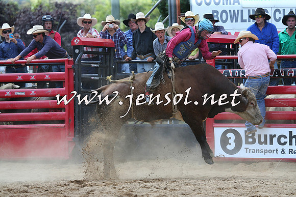 CoomaRodeo2015_1331