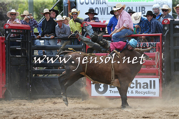 CoomaRodeo2015_1373