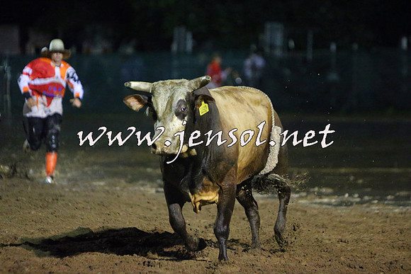 CoomaRodeo2015_3288