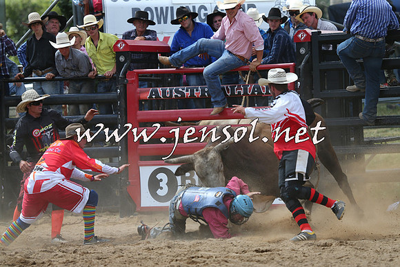 CoomaRodeo2015_1377