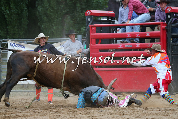 CoomaRodeo2015_2868