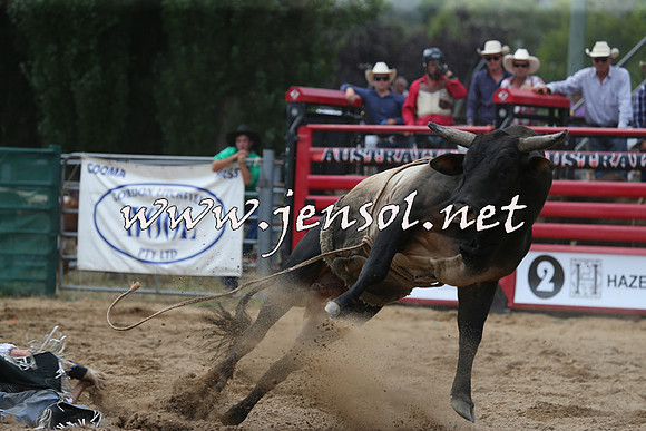 CoomaRodeo2015_1289