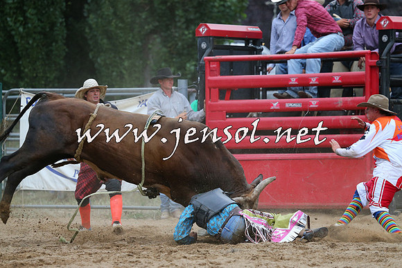 CoomaRodeo2015_2864