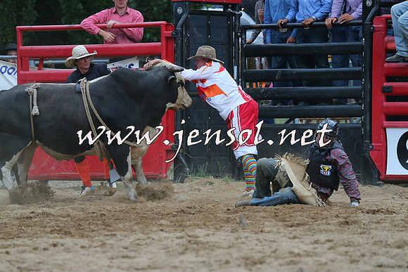 CoomaRodeo2015_2915