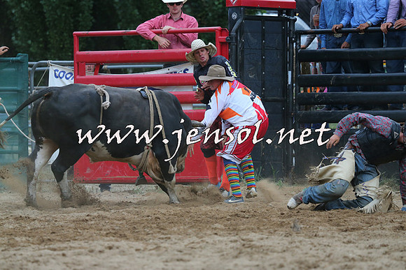 CoomaRodeo2015_2913