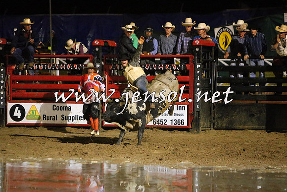 CoomaRodeo2015_3087