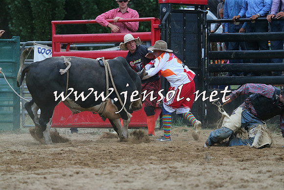 CoomaRodeo2015_2910