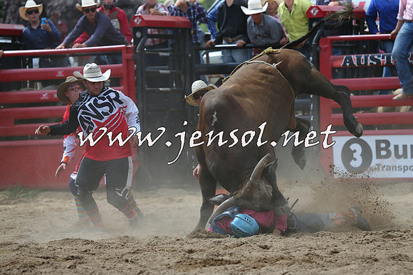 CoomaRodeo2015_1395