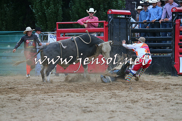 CoomaRodeo2015_2899