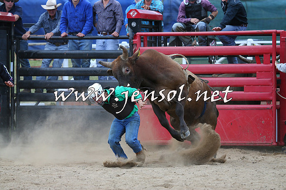 CoomaRodeo2015_1239