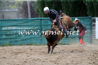 Bulls