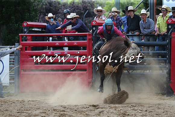 CoomaRodeo2015_1323