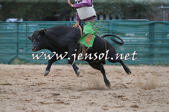 CoomaRodeo2015_1160