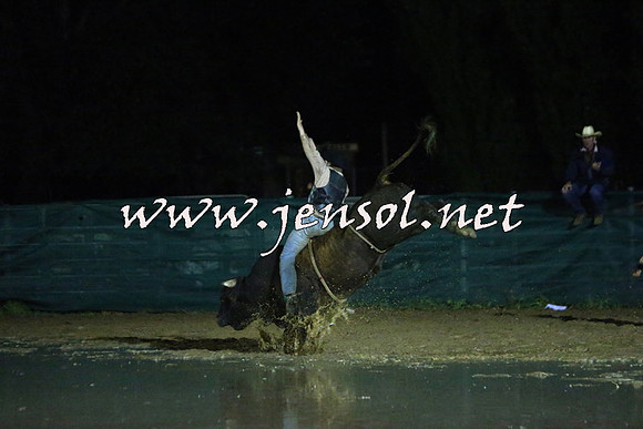 CoomaRodeo2015_3192