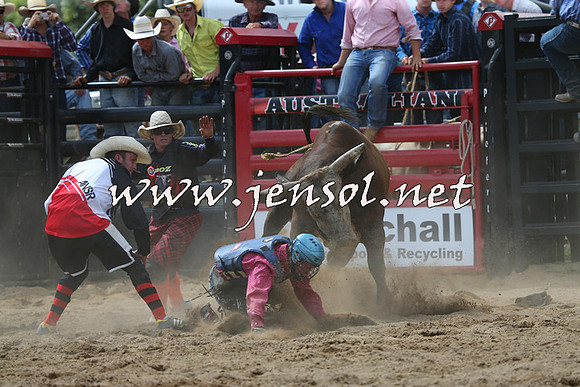CoomaRodeo2015_1402