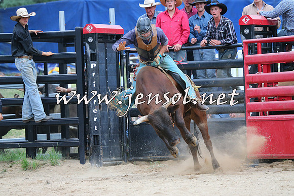 CoomaRodeo2015_2699
