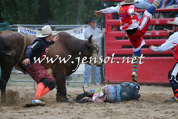 CoomaRodeo2015_2869