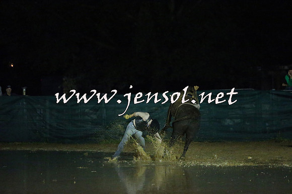 CoomaRodeo2015_3203