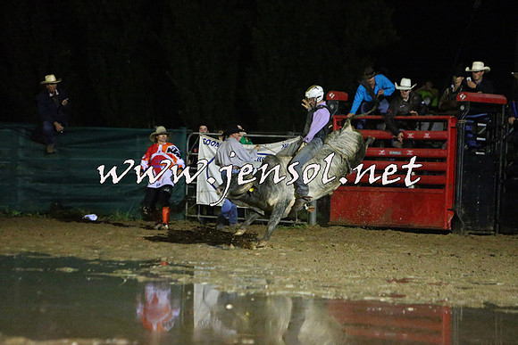 CoomaRodeo2015_3069