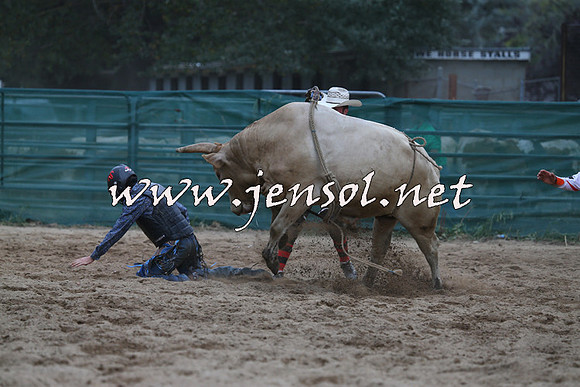 CoomaRodeo2015_2825