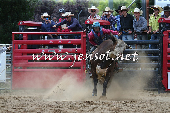 CoomaRodeo2015_1322