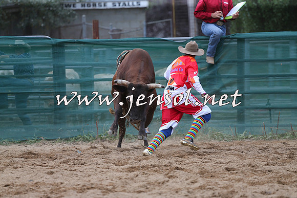 CoomaRodeo2015_1211