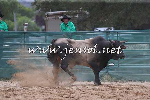 CoomaRodeo2015_1312