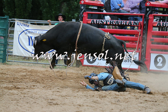 CoomaRodeo2015_2973