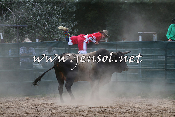 CoomaRodeo2015_1317