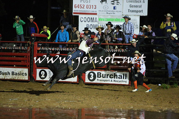 CoomaRodeo2015_3133