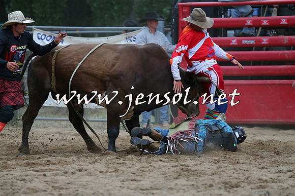 CoomaRodeo2015_2884