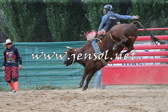 CoomaRodeo2015_1200