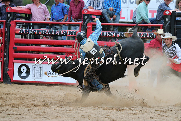 CoomaRodeo2015_2976