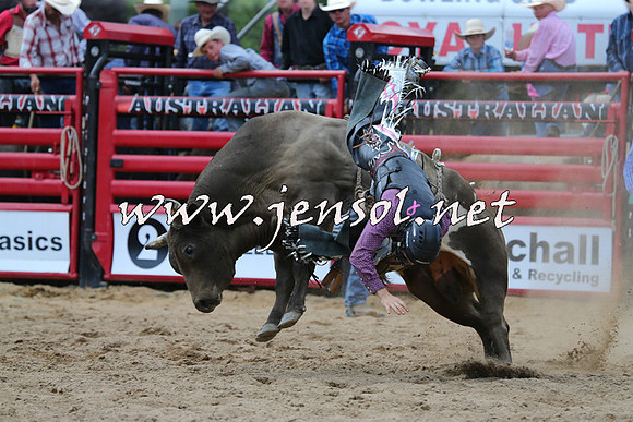 CoomaRodeo2015_1259