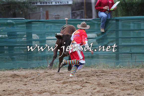 CoomaRodeo2015_1210