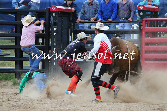 CoomaRodeo2015_1232
