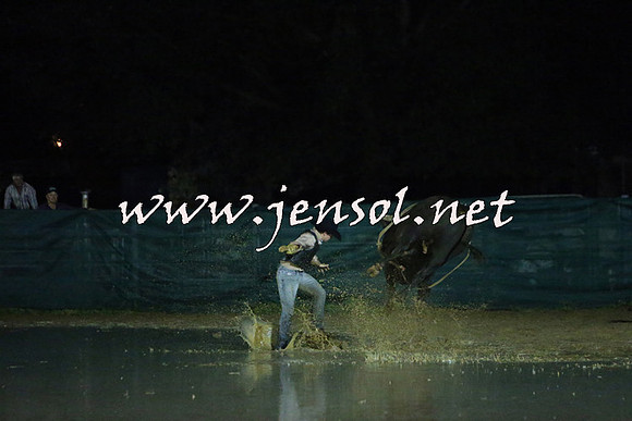 CoomaRodeo2015_3208