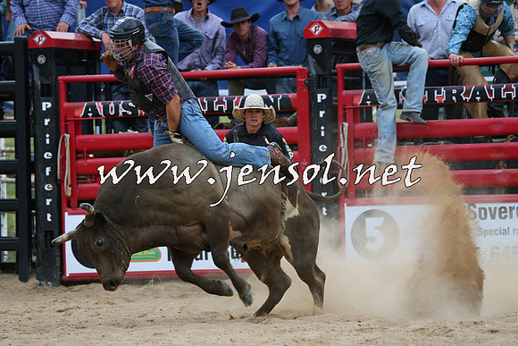CoomaRodeo2015_2923