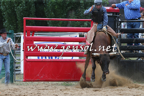 CoomaRodeo2015_1187