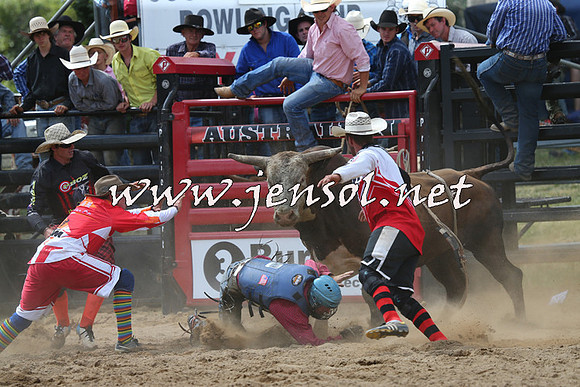 CoomaRodeo2015_1379