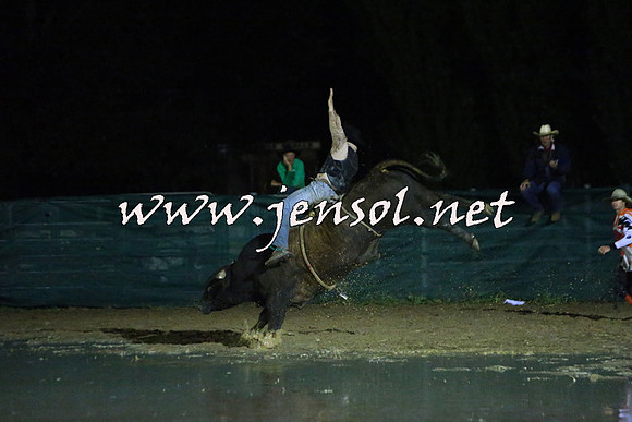 CoomaRodeo2015_3193