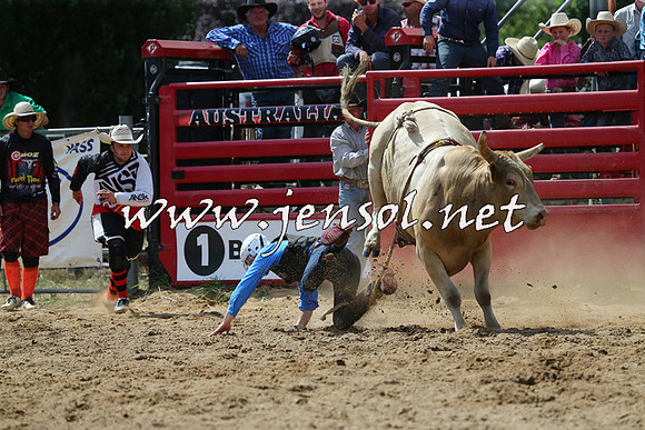 CoomaRodeo2015_1458