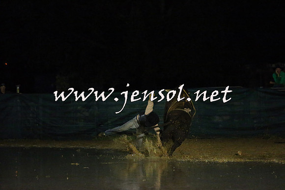 CoomaRodeo2015_3198