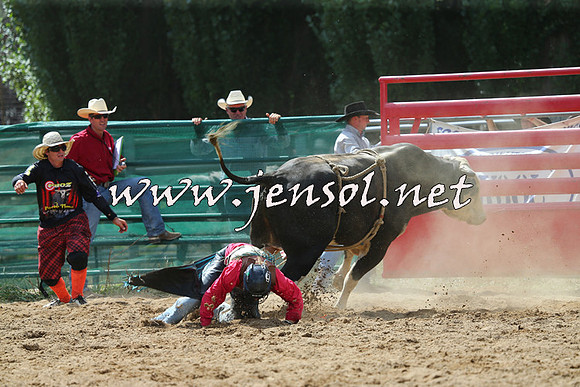 CoomaRodeo2015_1435