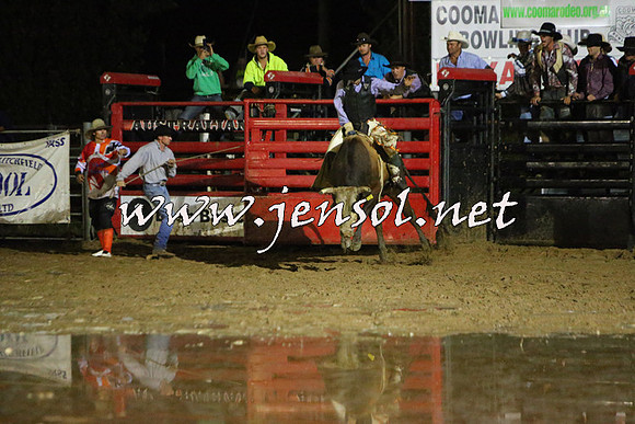 CoomaRodeo2015_3232