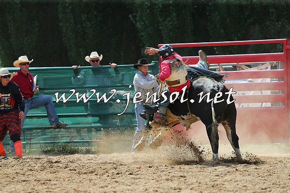 CoomaRodeo2015_1434