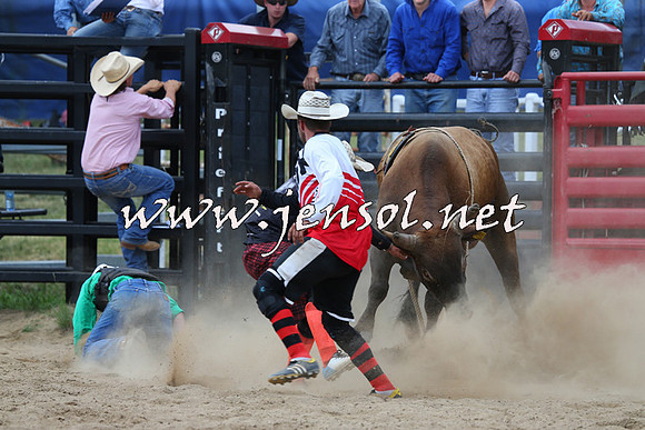 CoomaRodeo2015_1236