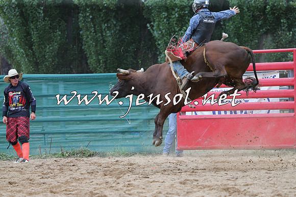 CoomaRodeo2015_1199