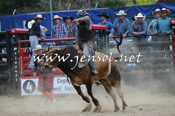 CoomaRodeo2015_2753