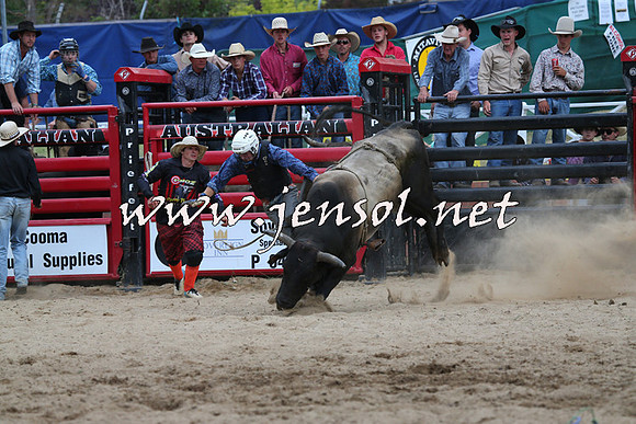 CoomaRodeo2015_2792